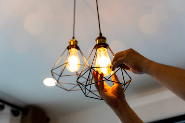 Best Electrician Near Me  in Holland, MI
