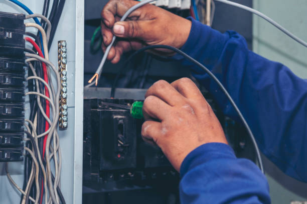 Best Ceiling Fan Installation Electrician  in Holland, MI
