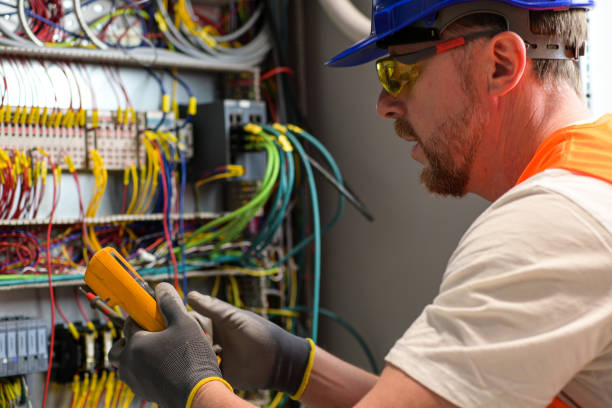 Best Electric Panel Repair  in Holland, MI